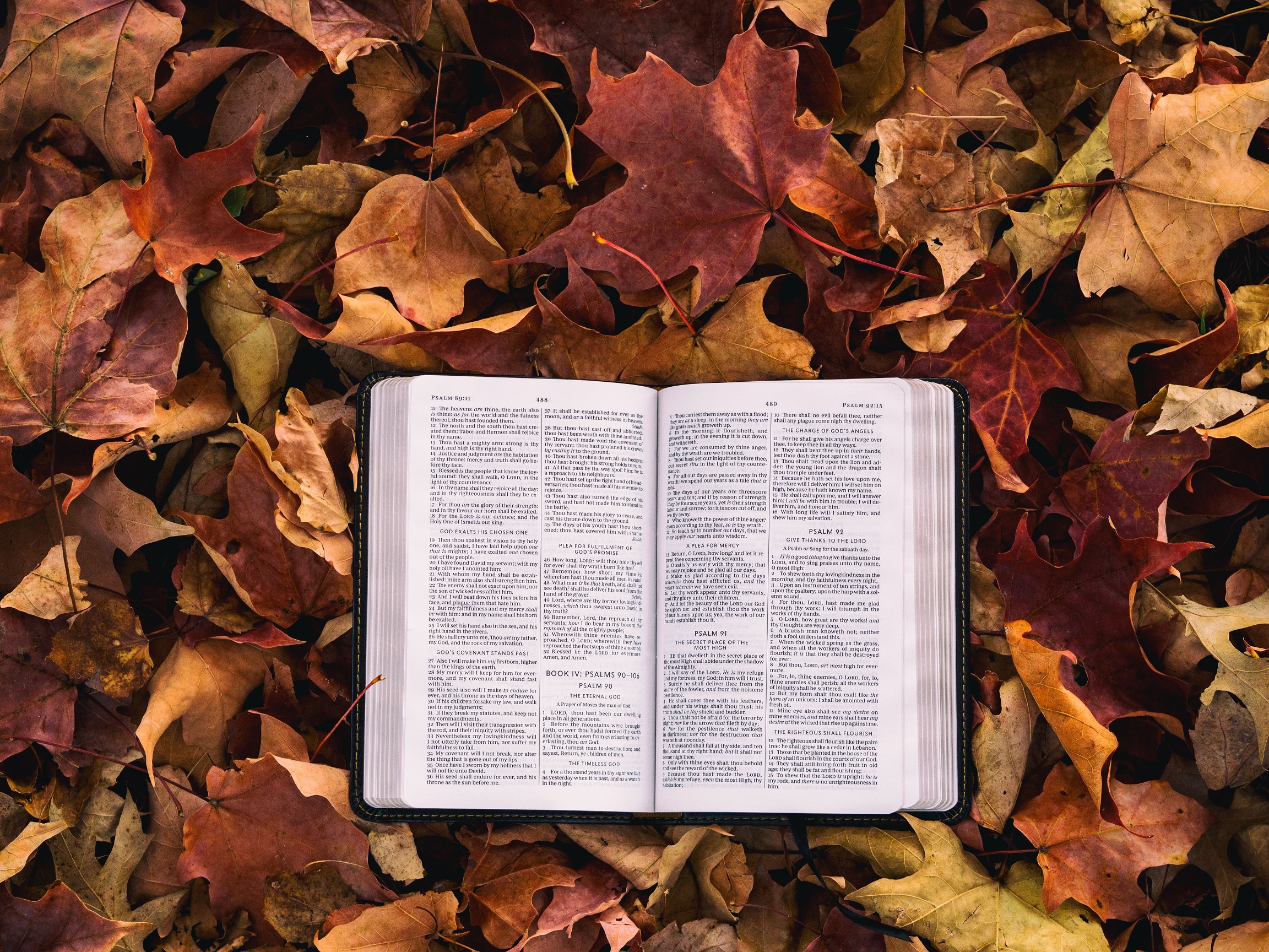 bible-leaves-the-cause-of-christ